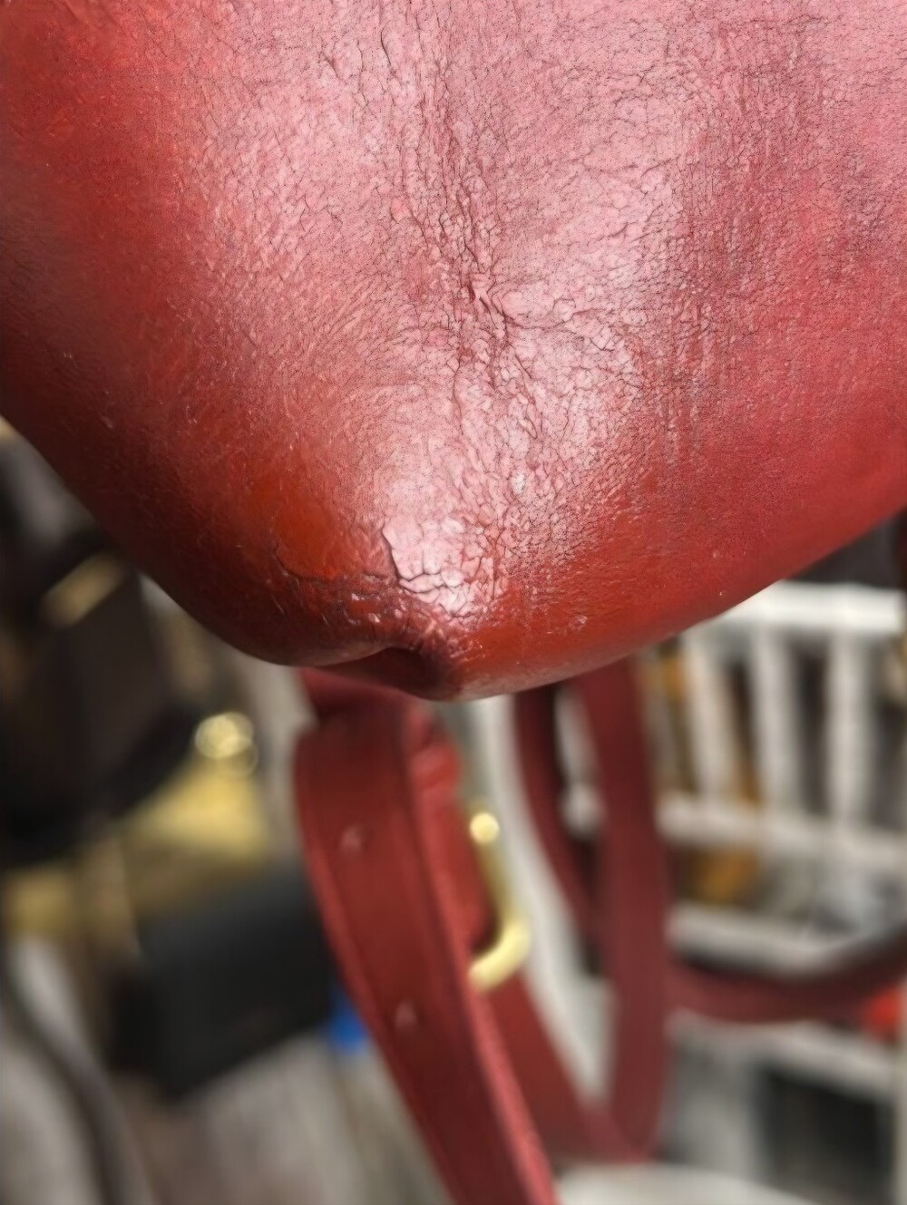 Coach RARE Vintage Glove Tanned Leather Daypack / Backpack - Picture 15 of 16